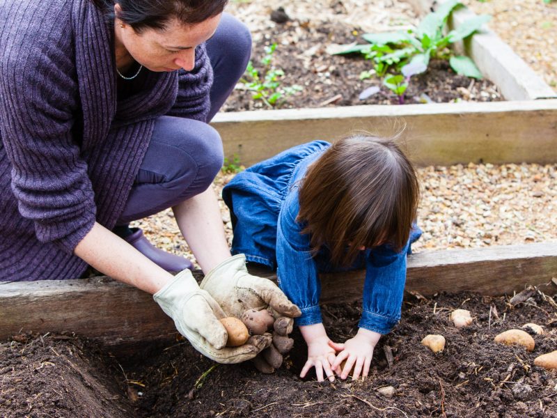 A mother shows her child how to plant potatoes in Melbourne, Australia